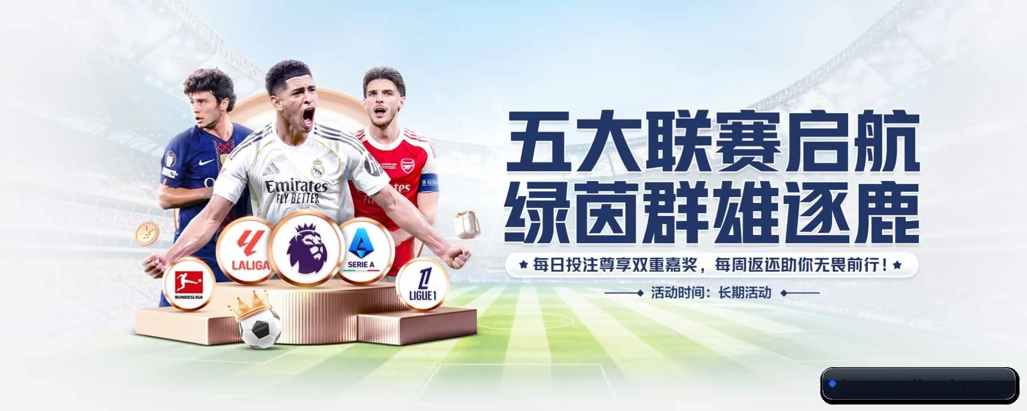 五大热门运动版块覆盖，比分与直播一站式兼顾 - 多运动项目内容板块